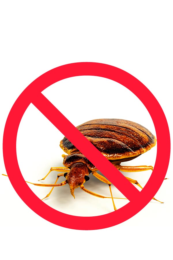 Профилактические мероприятия помогут защитить Ваш дом и семью от угрозы домашних насекомых при сохранении качества вашей жизни.